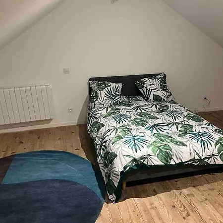 T3 Duplex Centre Appartement